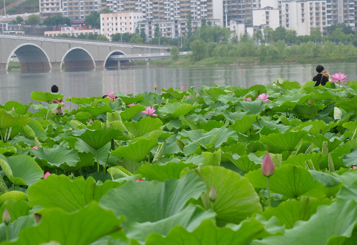 微信截图_20250603162641.png