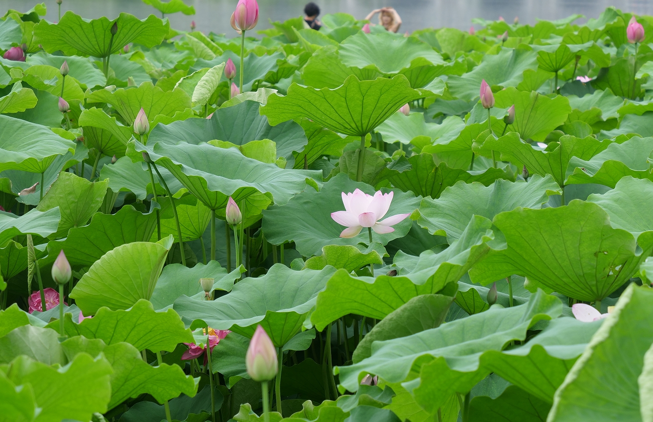 微信截图_20250603162707.png