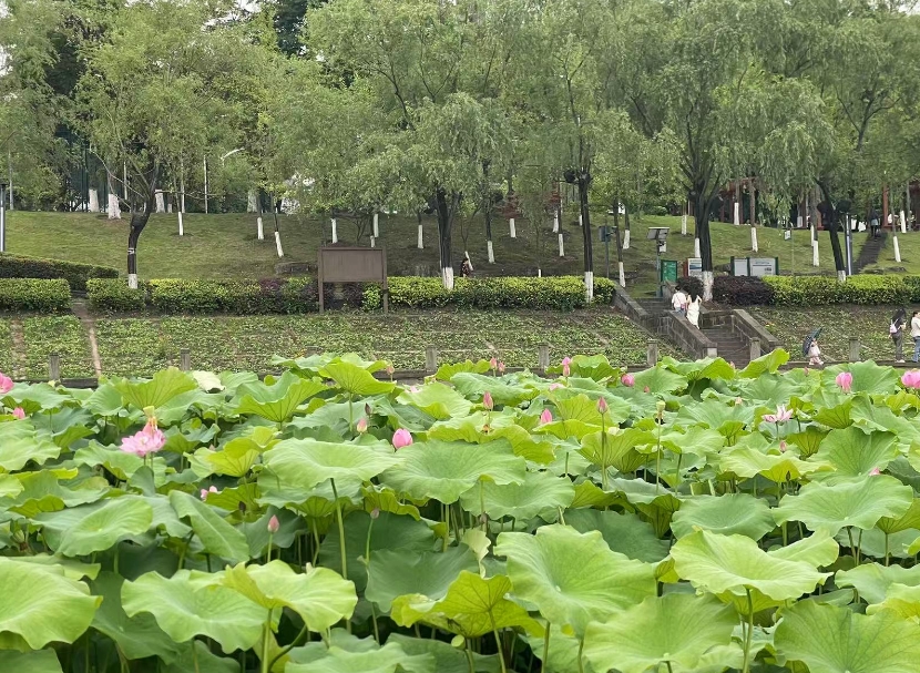微信截图_20250604093452.png