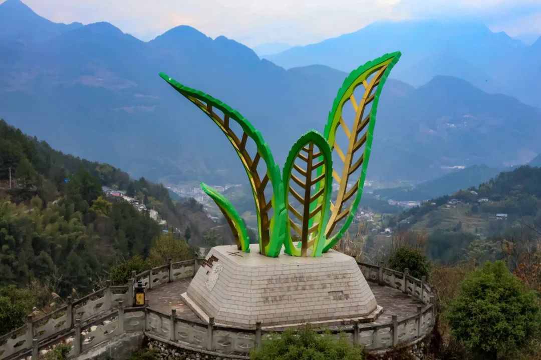 微信图片_20250610093706.jpg