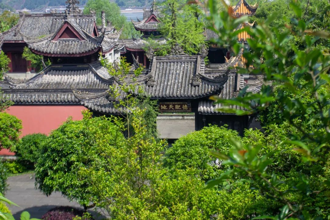 微信图片_20250618100827.jpg