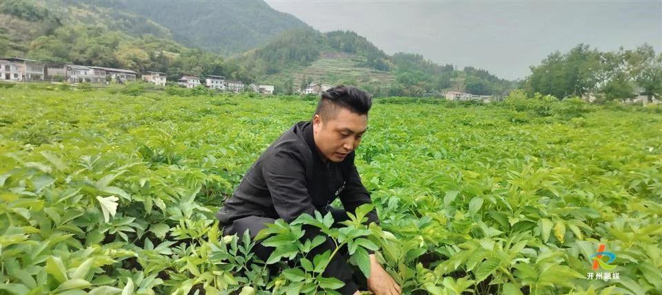 微信图片_20250618143034.jpg