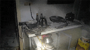 微信图片_20250621094251.gif