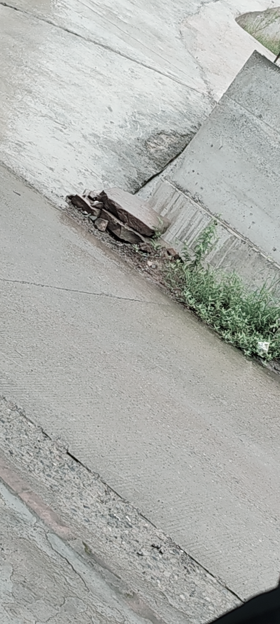 20250622120339front2_0_112559_Fi6Z5YYC6vdiX_9KSm-R81MlnZyH.png