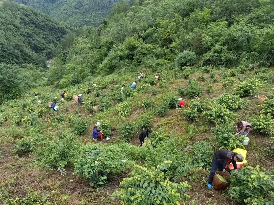 微信图片_20250623100620.jpg
