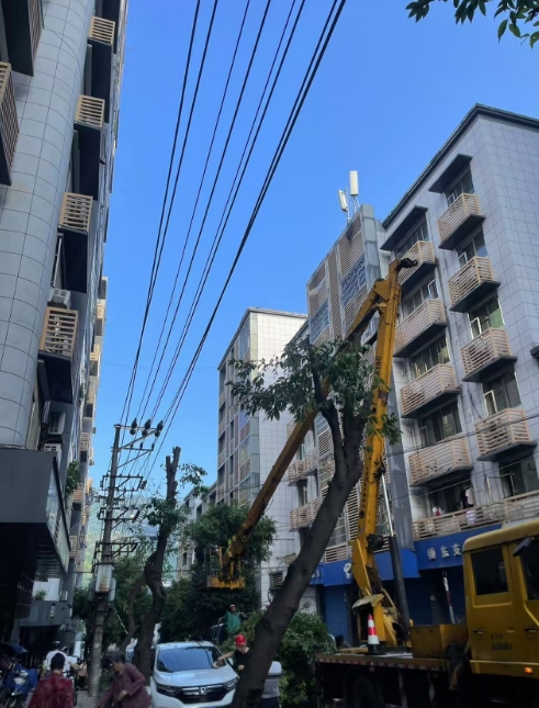 微信截图_20250623101542.png