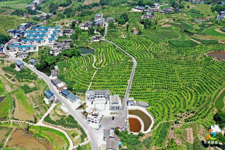 微信图片_20250624170119.jpg