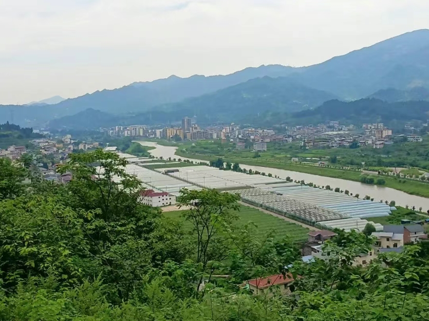 微信截图_20250701111311.png