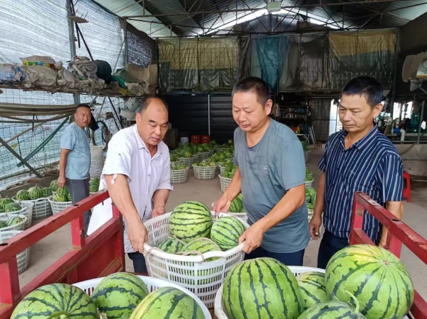 微信截图_20250701111250.png