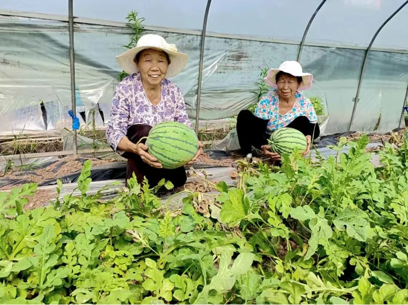 微信截图_20250701111207.png