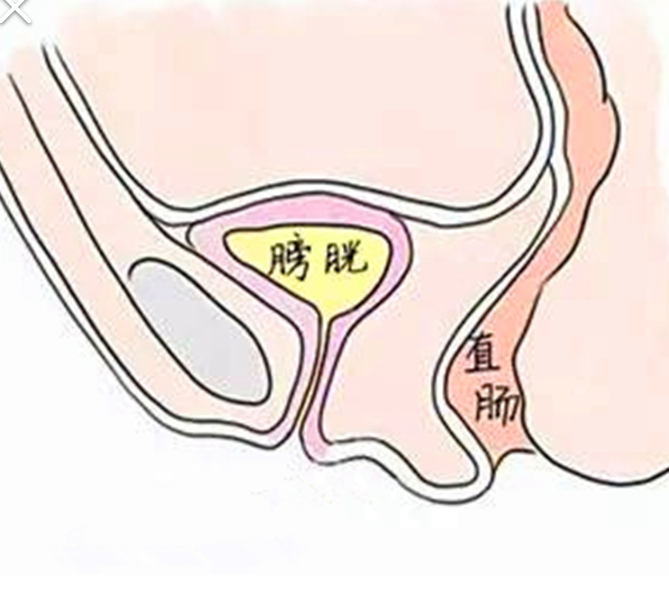 有种女人叫石女,你有听说过吗?