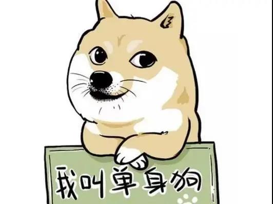 开州的单身狗们,注意!明天就是情人节,你选择怎么过?