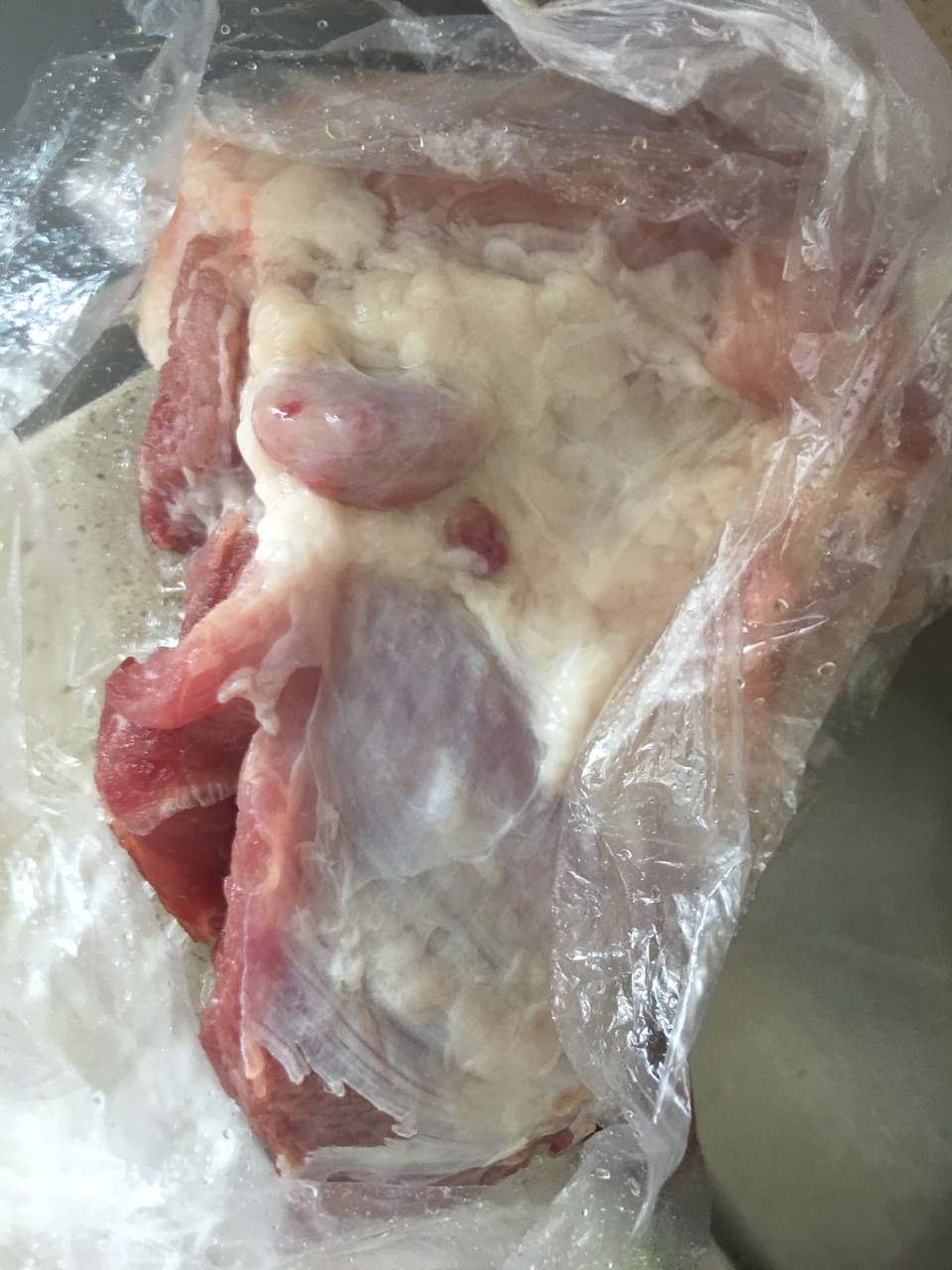 猪肉肥肉里的肿瘤图图片