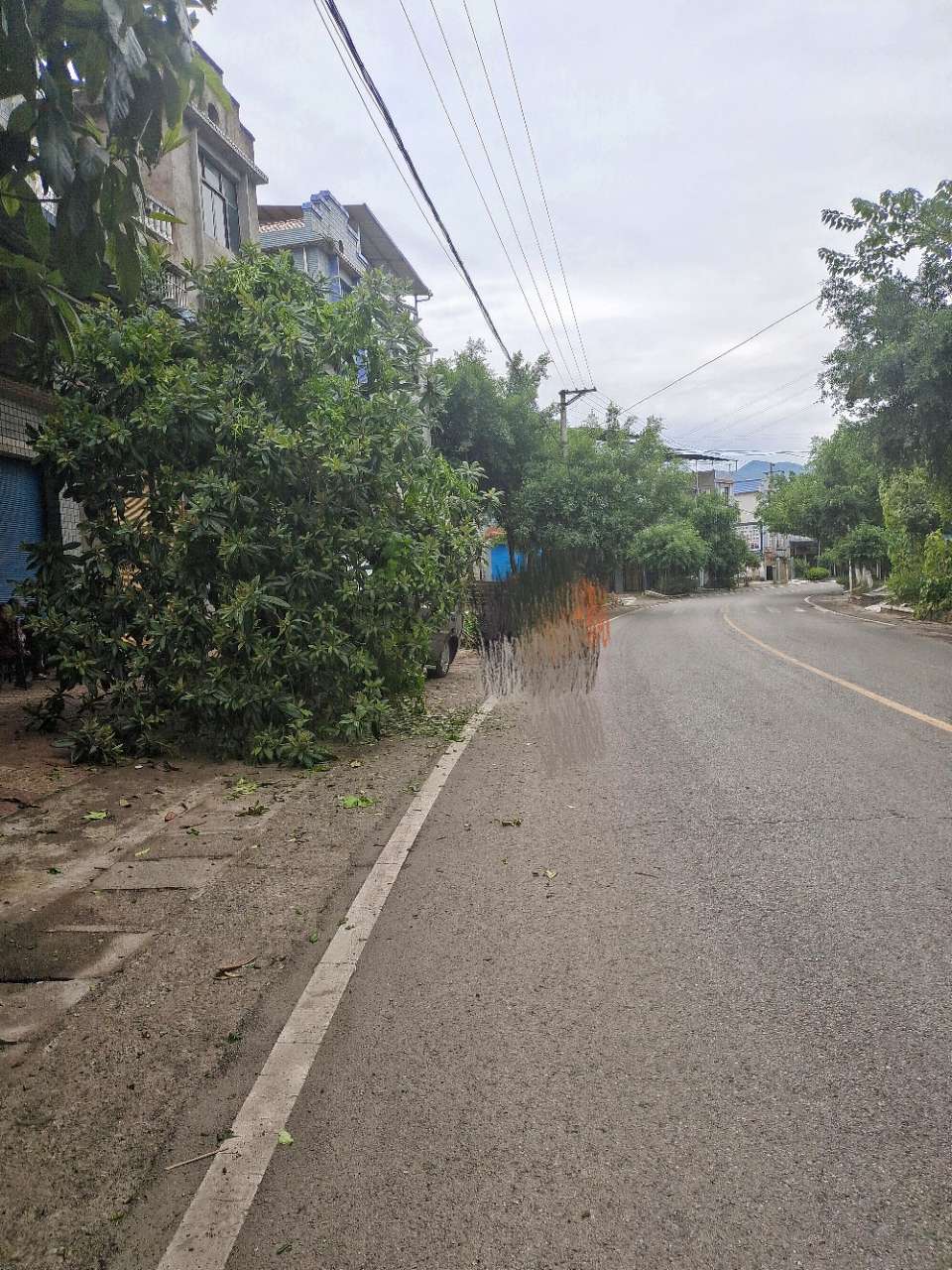 下午在后坝路上这辆飞车如果不是花坛里的枇杷树挡住街道边上的人就