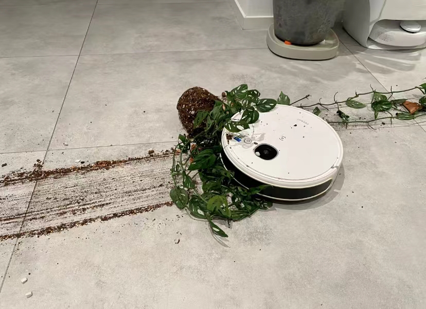 有一种砸了扫地机器人的冲动!
